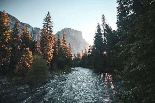 Photo from Unsplash (river through forest).