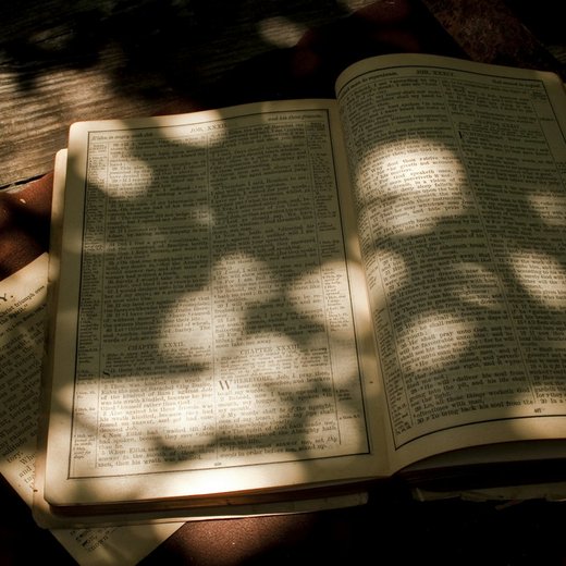 Photo from Unsplash (open bible page in sunlight).