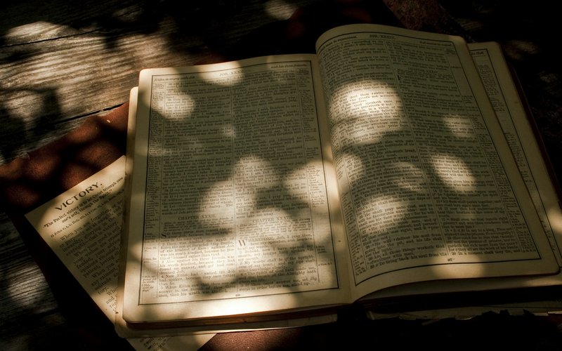 Photo from Unsplash (open bible page in sunlight).