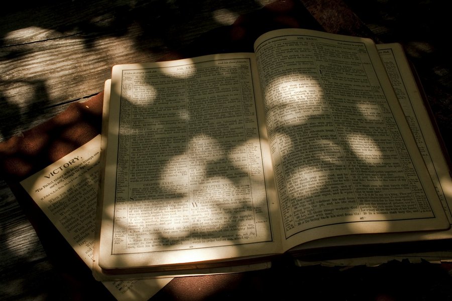 Photo from Unsplash (open bible page in sunlight).